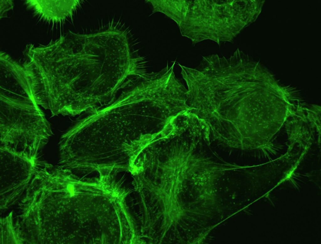 Pathogen Resistance and Engineered Immunity